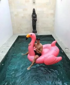 Jenjo Games Inflatable Flamingo -Outdoor Living Sales Store IOvrxmz9S6kT3Eso7hTTClTY4