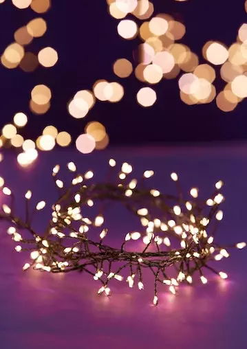 Rogue Deluxe Lustre Light LED 750 Bulb AC Green 10m 2 Rogue Deluxe Lustre Light LED 750 Bulb AC Green 10m - Image 2