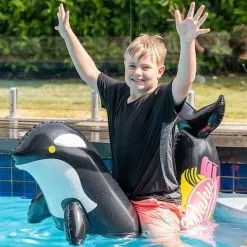 Wahu 66cm Pool Pets Orca Racer Inflatable Ride On Water/Pool/Beach Toy Kids 6y+ -Outdoor Living Sales Store grIwS1ncWA6HLrxoQqLuofTaU