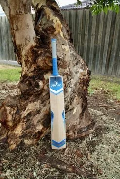 Jenjo Games Cricket Bat Grade 1 English Willow 12 Jenjo Games Cricket Bat Grade 1 English Willow -Outdoor Living Sales Store tXZ1duBnPGlMJIlt2yYge DH8